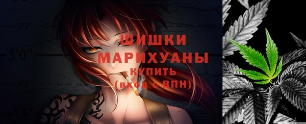 шишки Новокубанск