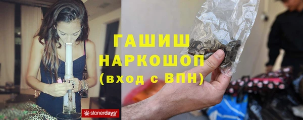 шишки Новокубанск