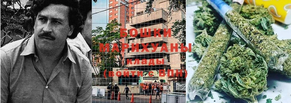 шишки Новокубанск
