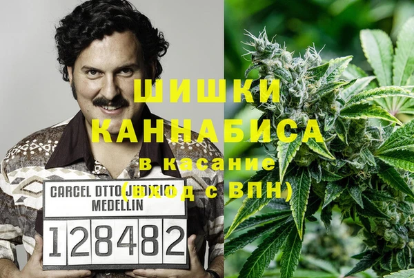 шишки Новокубанск