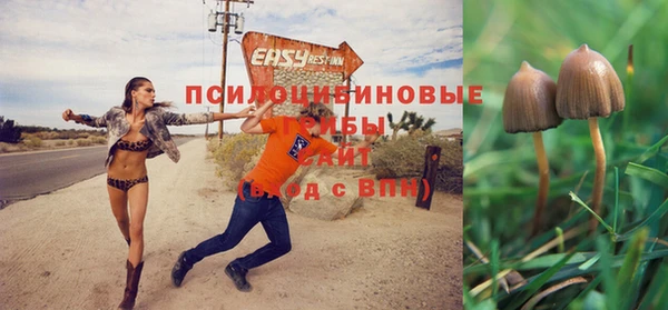 бутик Новозыбков