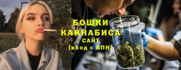 шишки Новокубанск